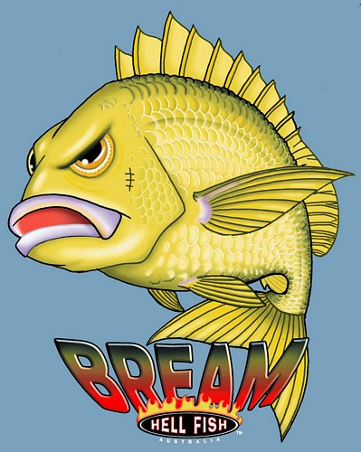 Mens - Hell Fish Bream on Sky Blue