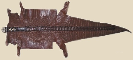 Sebek Crocodile Belts
